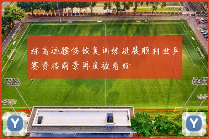 林高远腰伤恢复训练进展顺利世乒赛资格前景再度被看好
